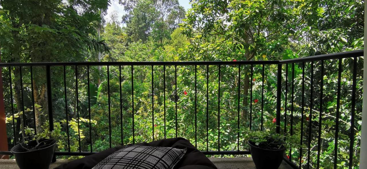 Tantra Ella Lodge Bagian luar foto